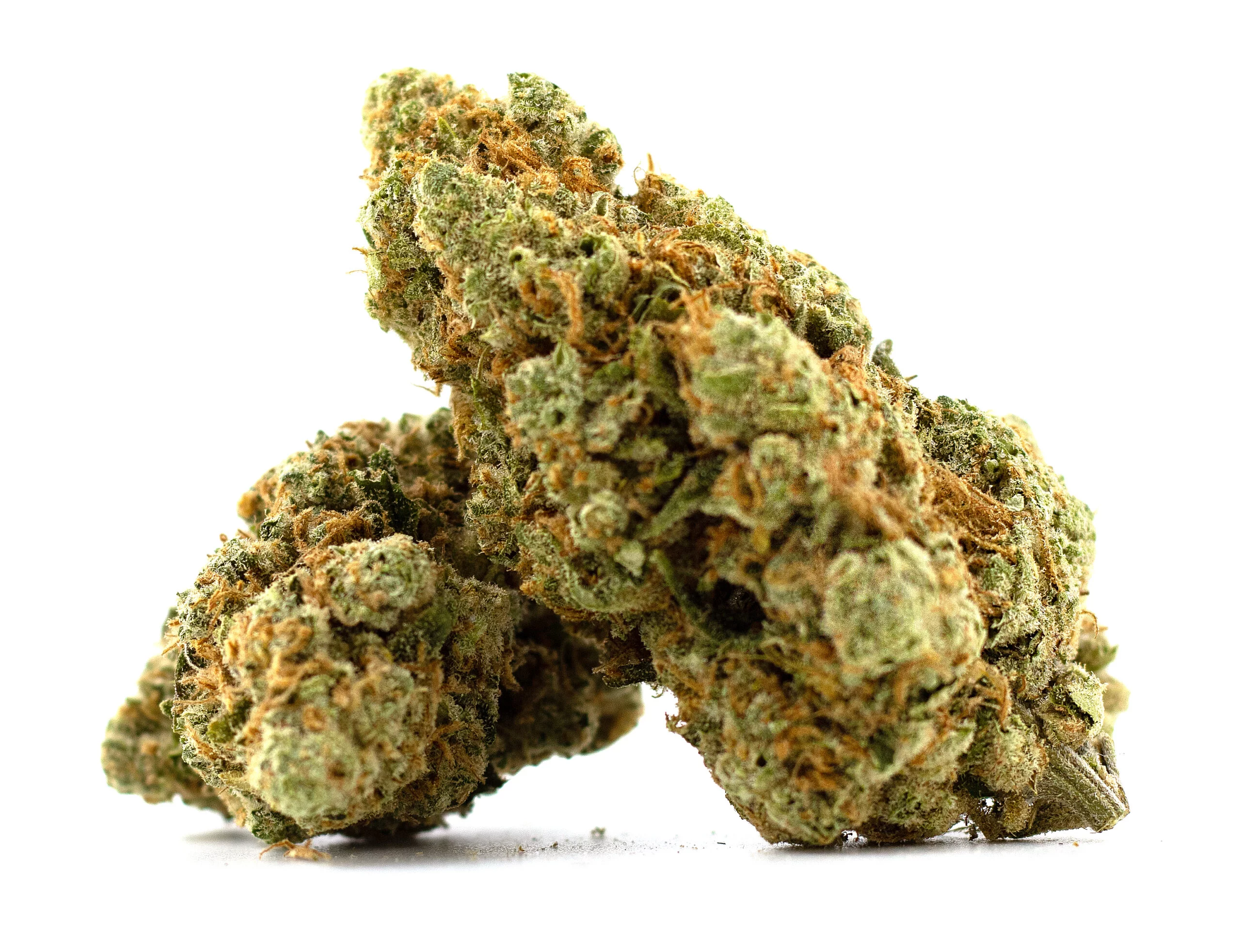Amnesia Haze CBD Fleur Sativa Premium