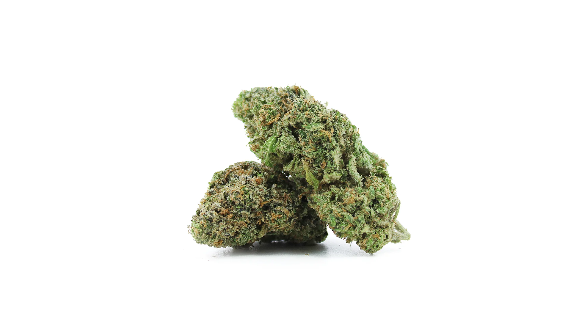 Blueberry Muffin CBD