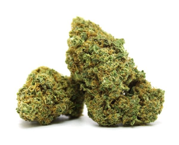 chocolope cbd