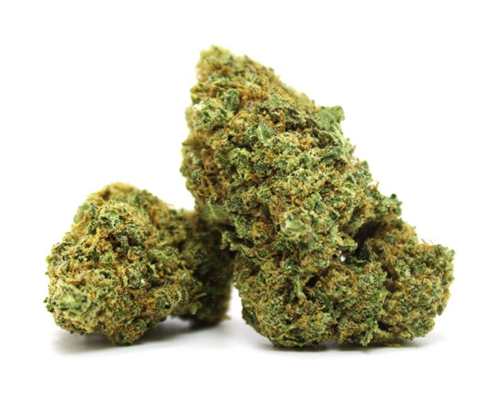 chocolope cbd