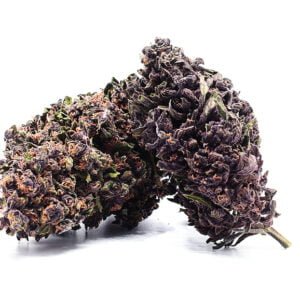 Purple Jack CBD Fleur Indica Relaxante