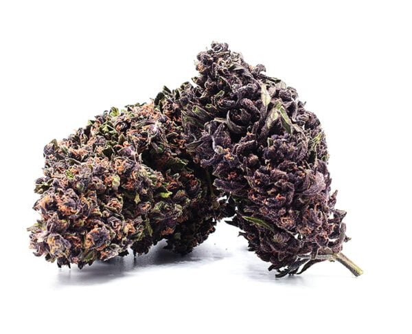 Purple Jack CBD Fleur Indica Relaxante