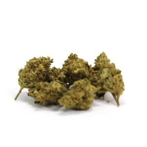 Lemon Pop CBD Fleur Délicieuse et pétillante