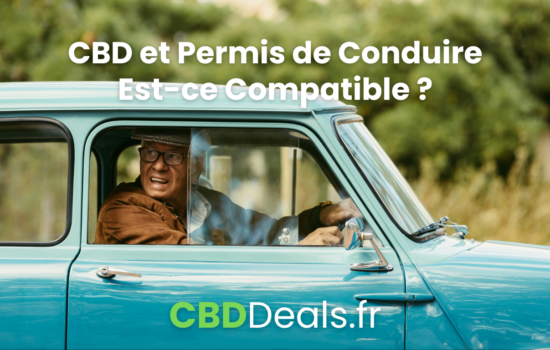 CBD et Permis de Conduire : Prévenir pour Mieux Conduire