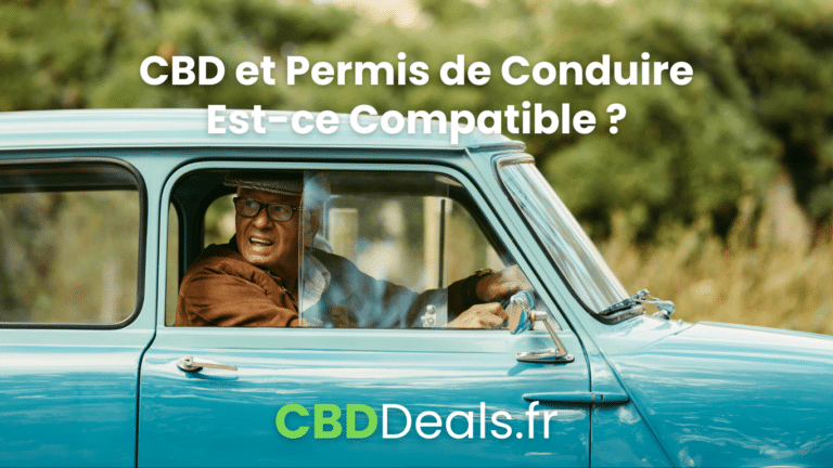 Lire la suite à propos de l’article CBD et Permis de Conduire : Prévenir pour Mieux Conduire