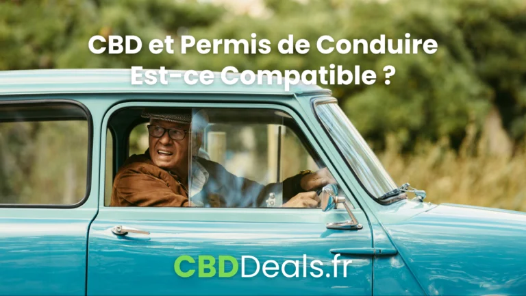 Lire la suite à propos de l’article CBD et Permis de Conduire : Prévenir pour Mieux Conduire