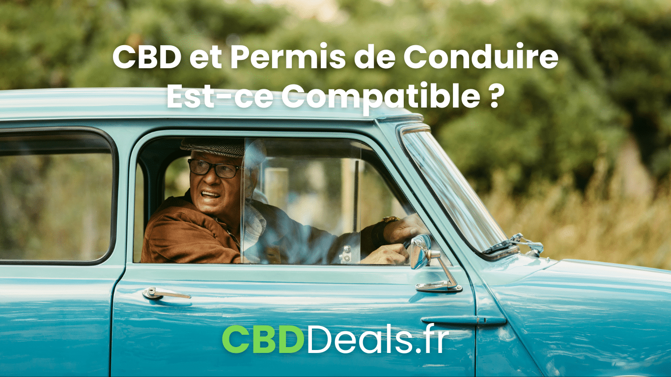 You are currently viewing CBD et Permis de Conduire : Prévenir pour Mieux Conduire