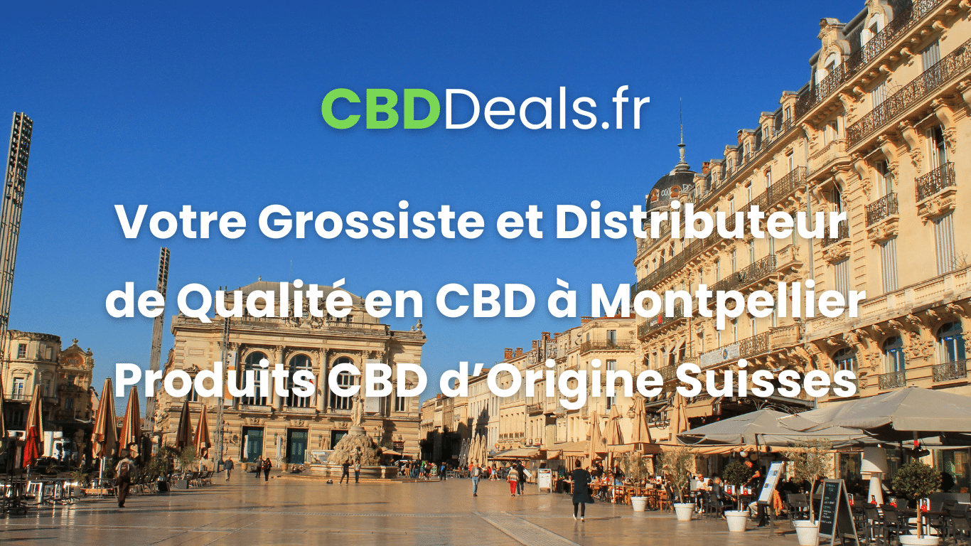 You are currently viewing Grossiste et Distributeur de CBD Montpellier